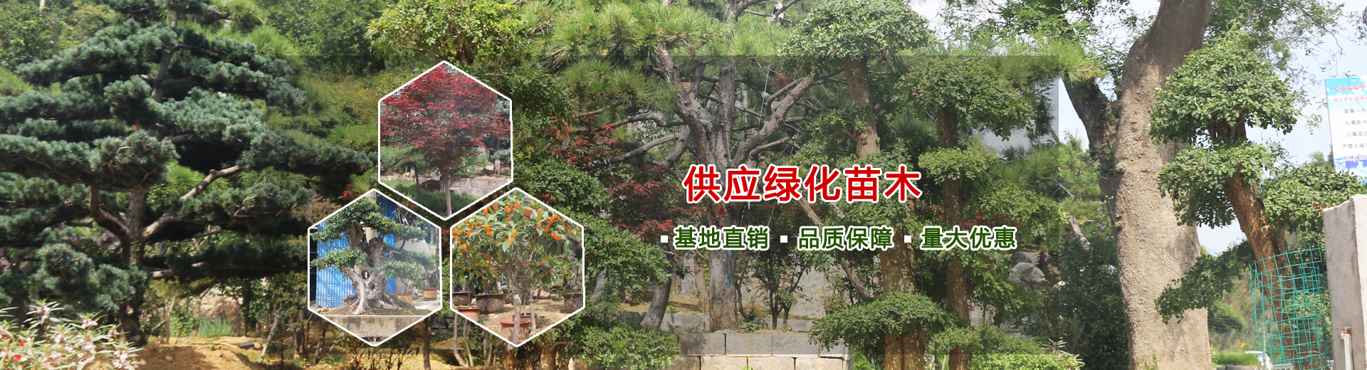 山東金和環(huán)保材料有限公司